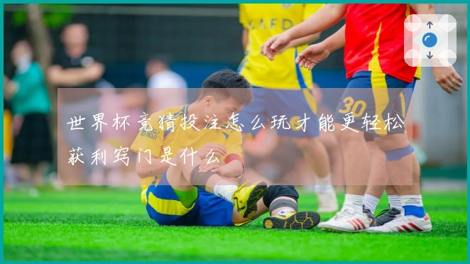 世界杯竞猜投注怎么玩才能更轻松获利窍门是什么