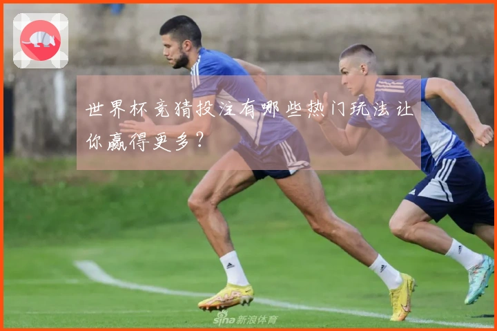 世界杯竞猜投注有哪些热门玩法让你赢得更多？