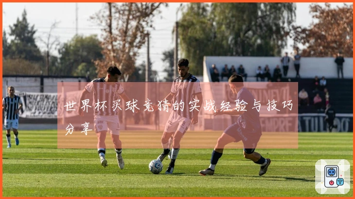 世界杯买球竞猜的实战经验与技巧分享