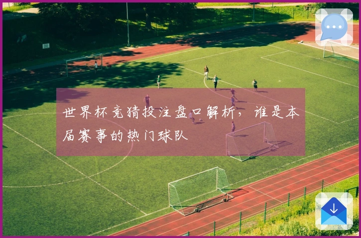 世界杯竞猜投注盘口解析，谁是本届赛事的热门球队
