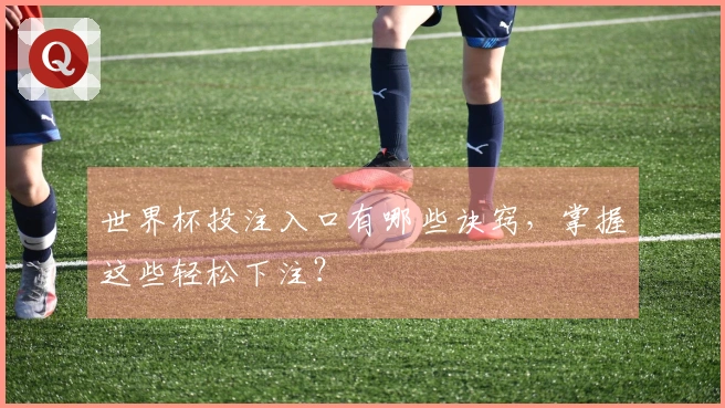 世界杯投注入口有哪些诀窍，掌握这些轻松下注？