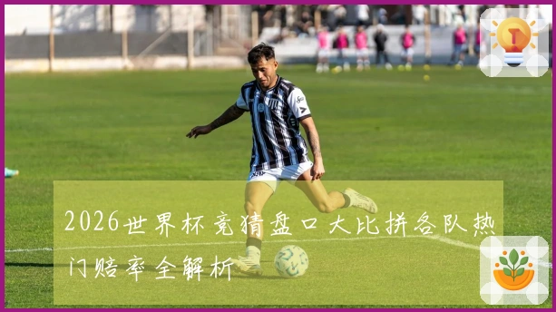 2026世界杯竞猜盘口大比拼各队热门赔率全解析