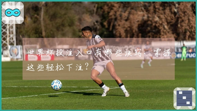 世界杯投注入口有哪些诀窍，掌握这些轻松下注？