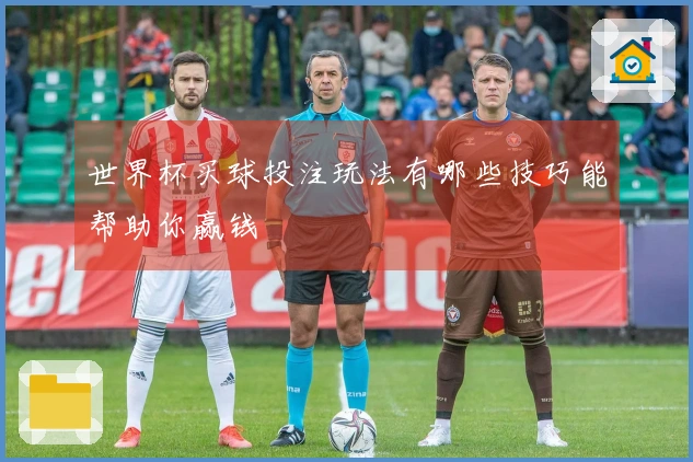 世界杯买球投注玩法有哪些技巧能帮助你赢钱
