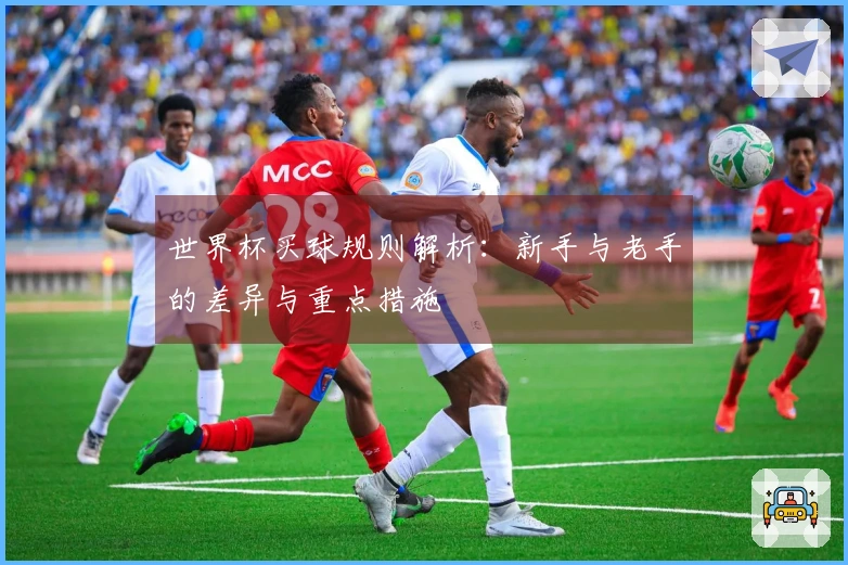 世界杯买球规则解析：新手与老手的差异与重点措施