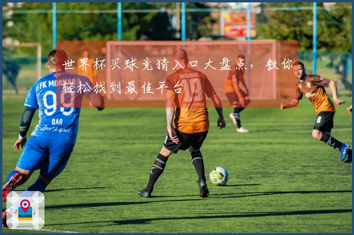 世界杯买球竞猜入口大盘点，教你轻松找到最佳平台
