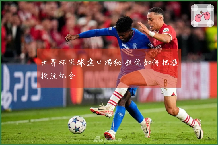 世界杯买球盘口揭秘 教你如何把握投注机会