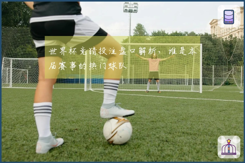 世界杯竞猜投注盘口解析，谁是本届赛事的热门球队