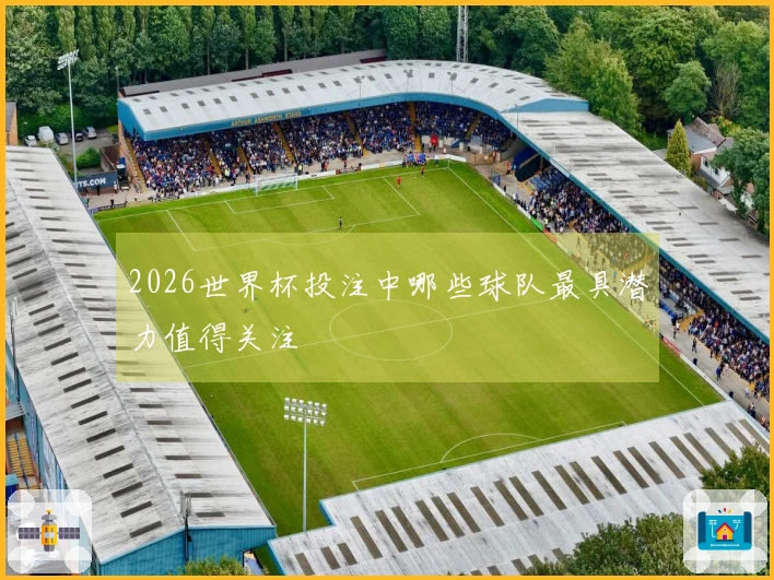 2026世界杯投注中哪些球队最具潜力值得关注