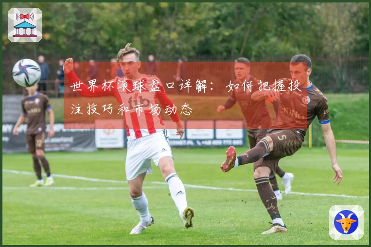 世界杯滚球盘口详解：如何把握投注技巧和市场动态